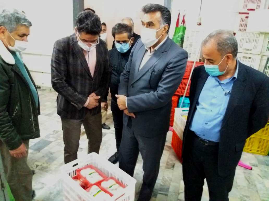 نظارت کامل برای تولید و عرضه گوشت و تخم مرغ در استان